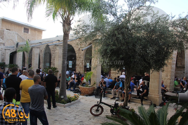 3ed ad7a mahmoudaia (17).JPG